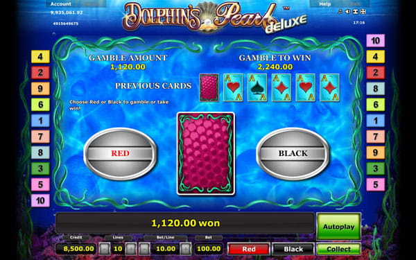 Dolphins Pearl online spielen